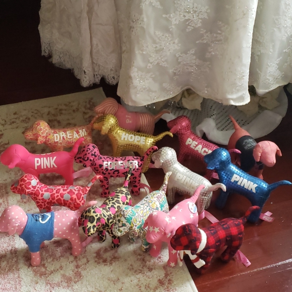 PINK mini dogs